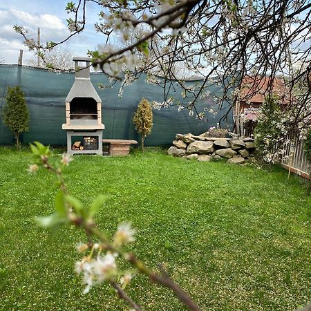 Casuta Tivadar Hotel Breb Екстериор снимка